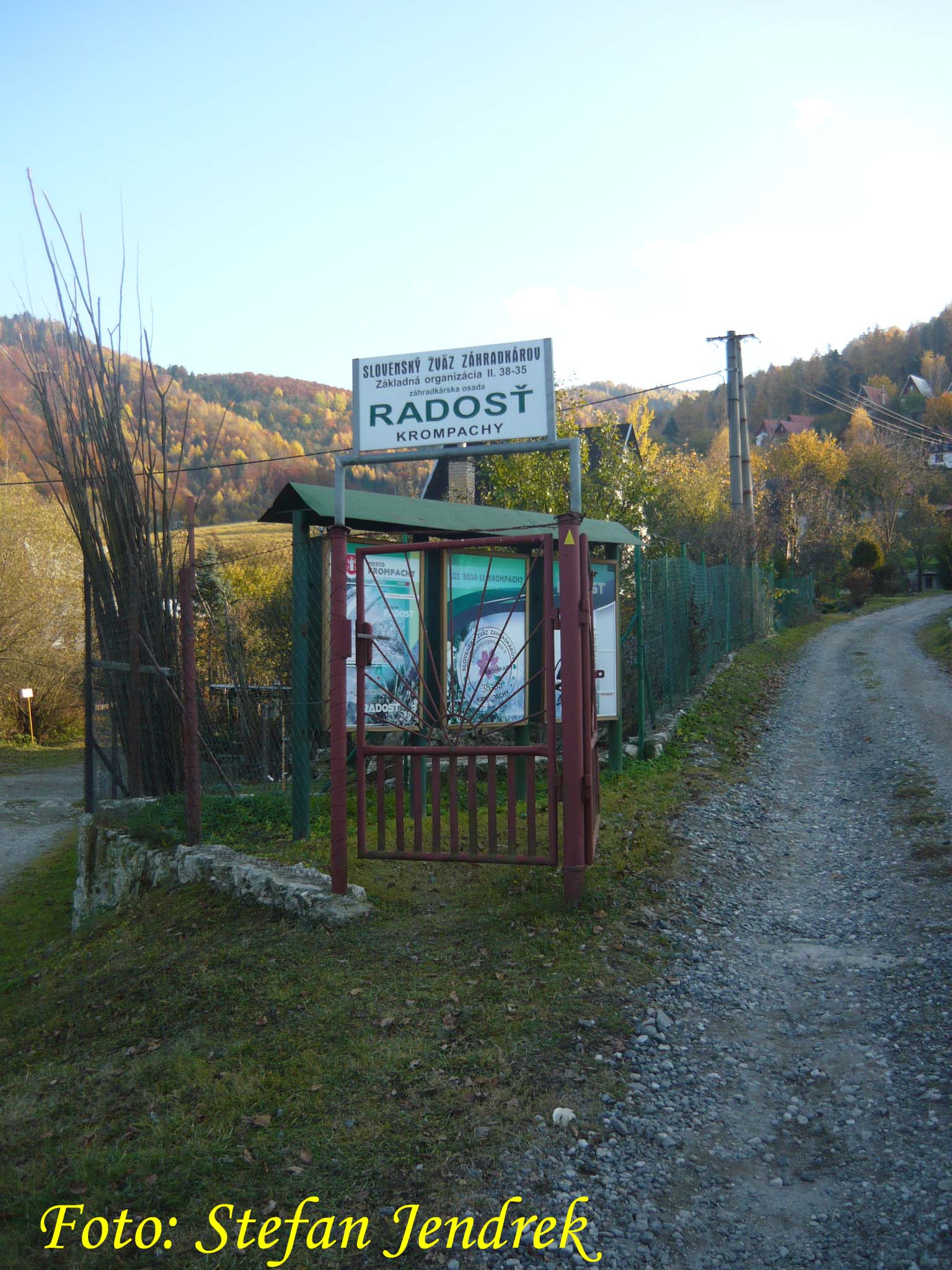 dnes 14.jpg