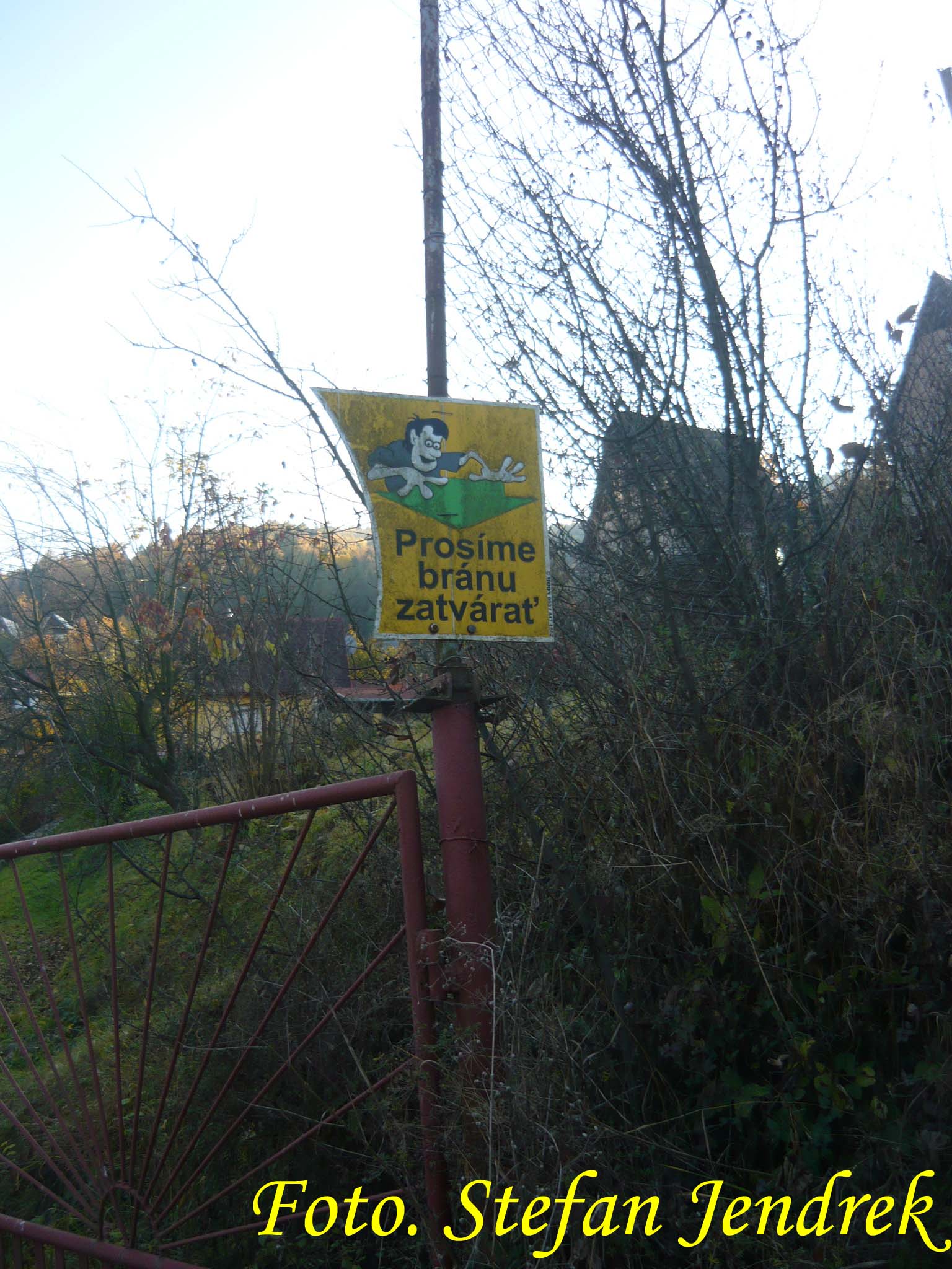 dnes 15.jpg
