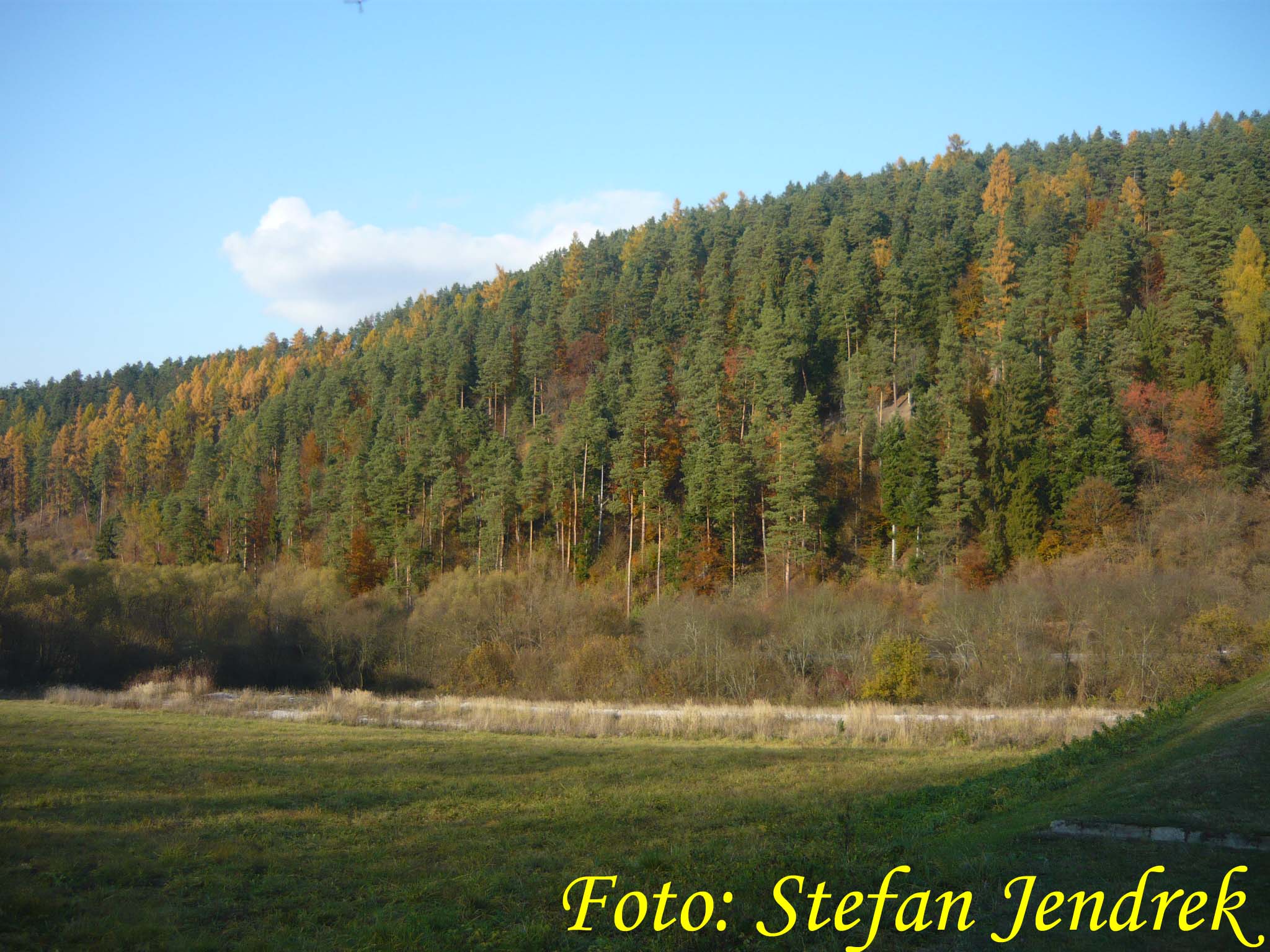 dnes 18.jpg