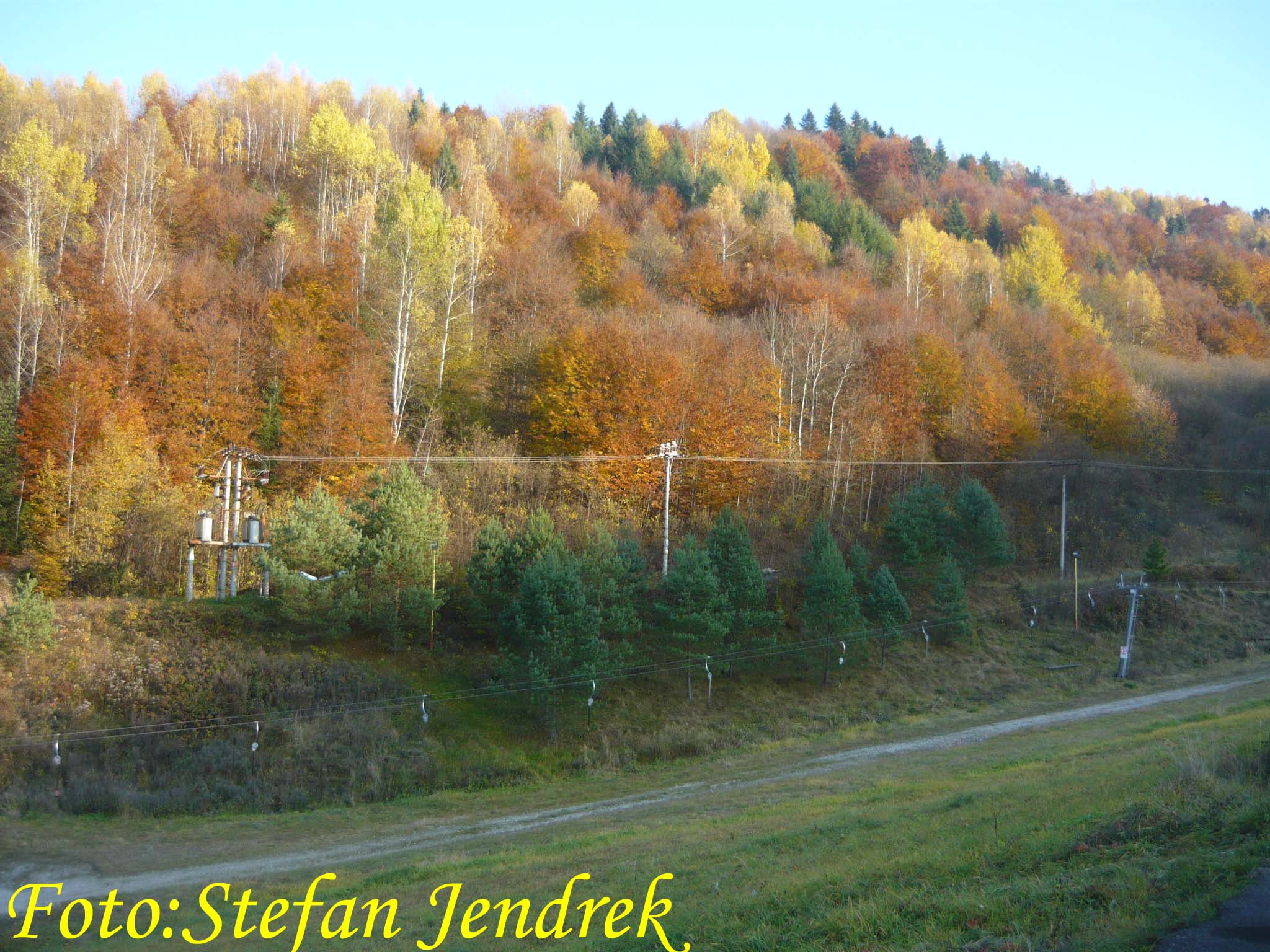 dnes 29.jpg