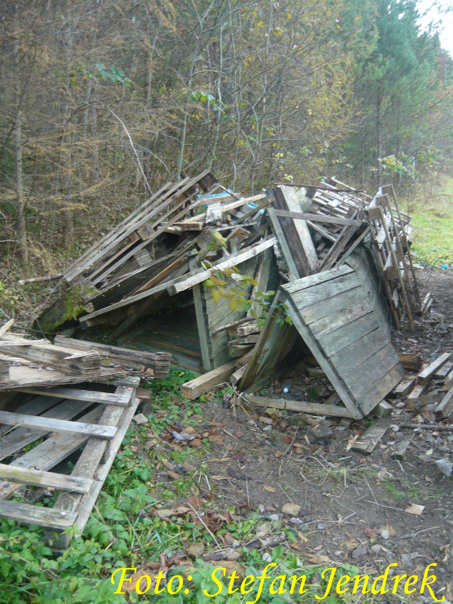 dnes 47.jpg