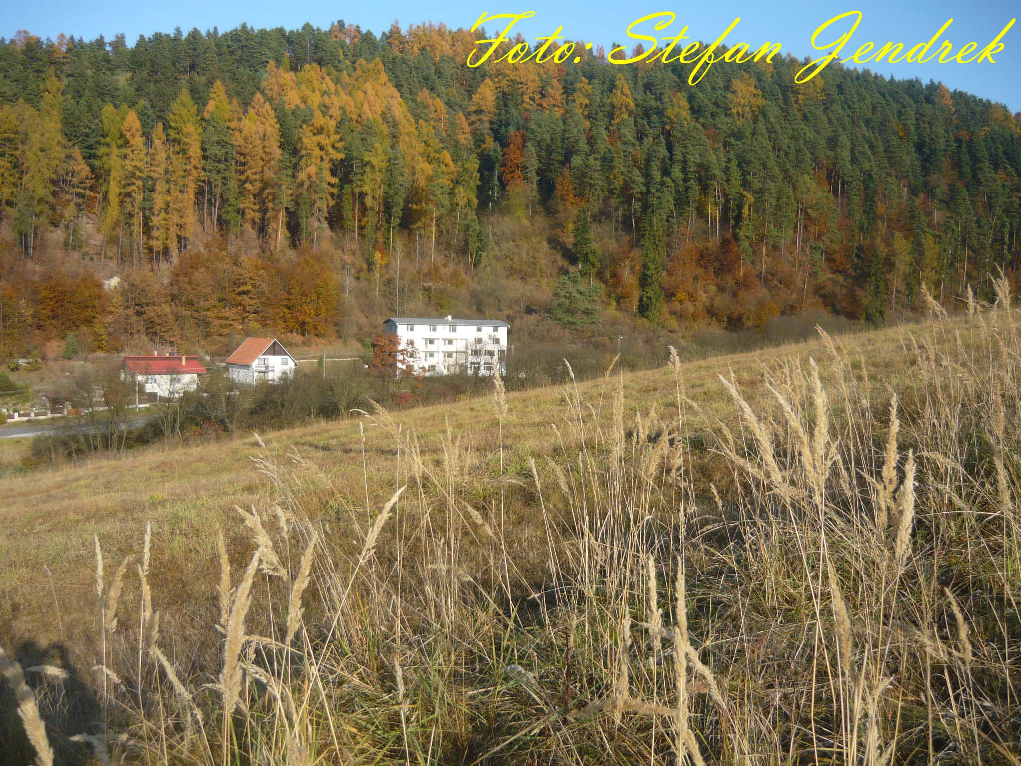 dnes 7.jpg