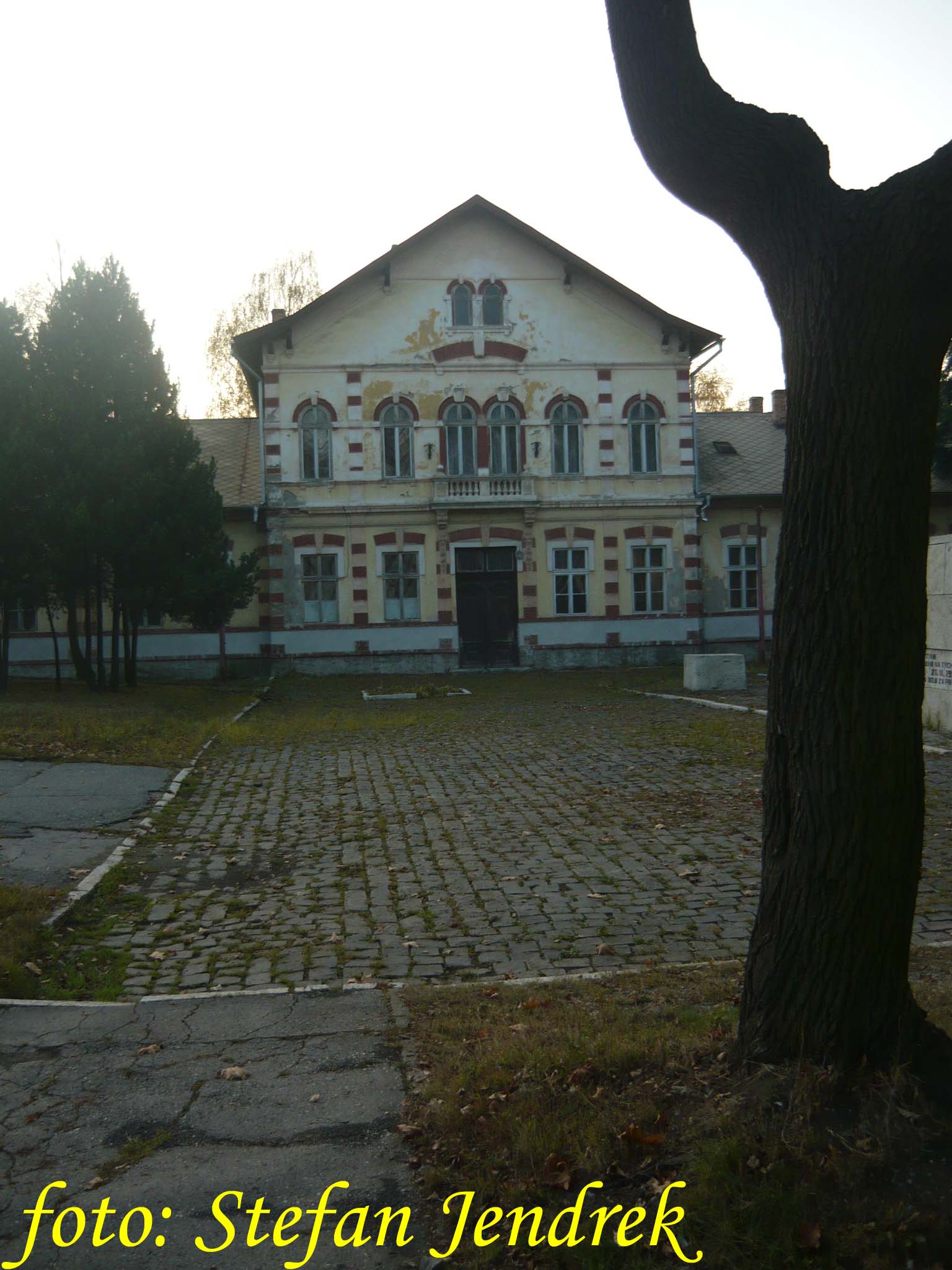 dnes 93.jpg