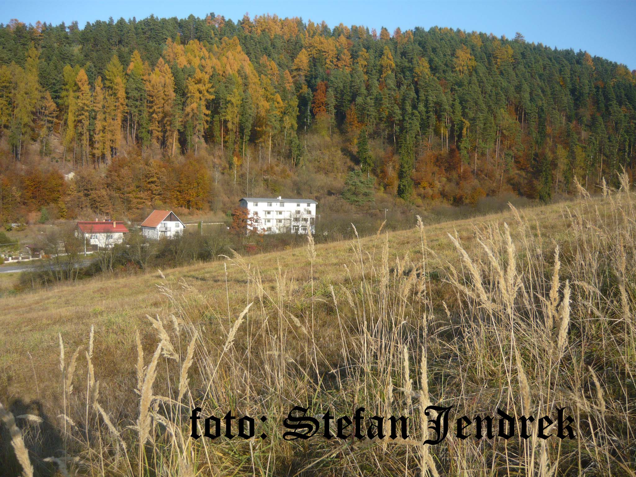 dnes 8.jpg