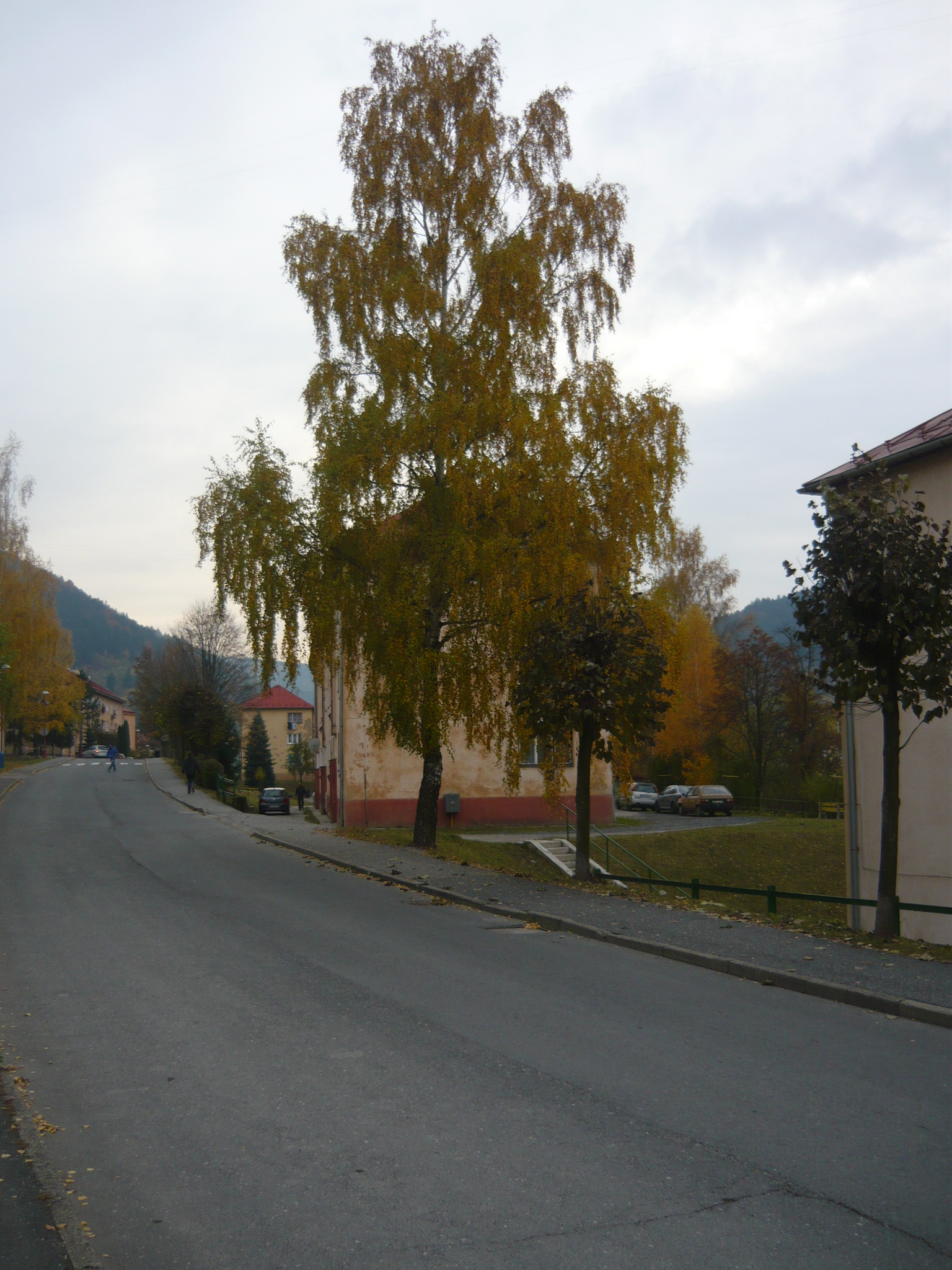 Snímek 161.jpg
